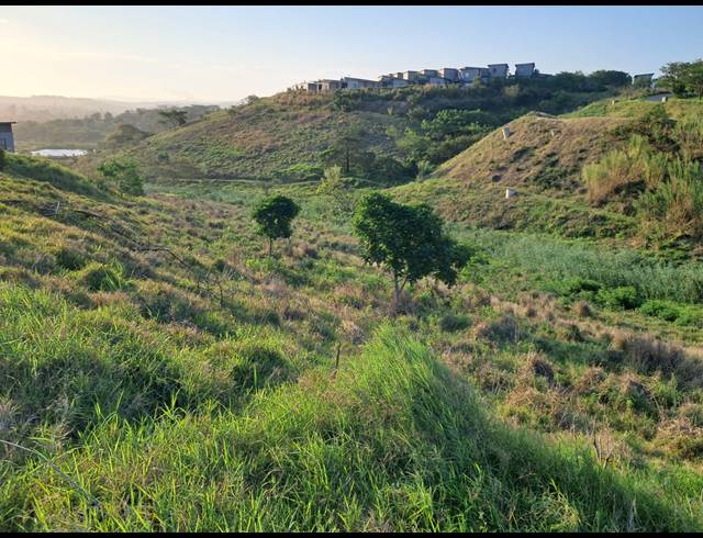 539M² VACANT LAND FOR SALE IN PALM LAKES ESTATE